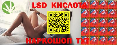 индика Обь