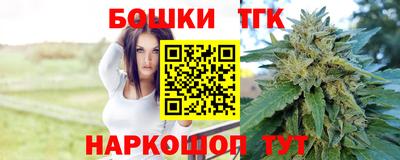 индика Обь