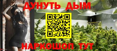 индика Обь
