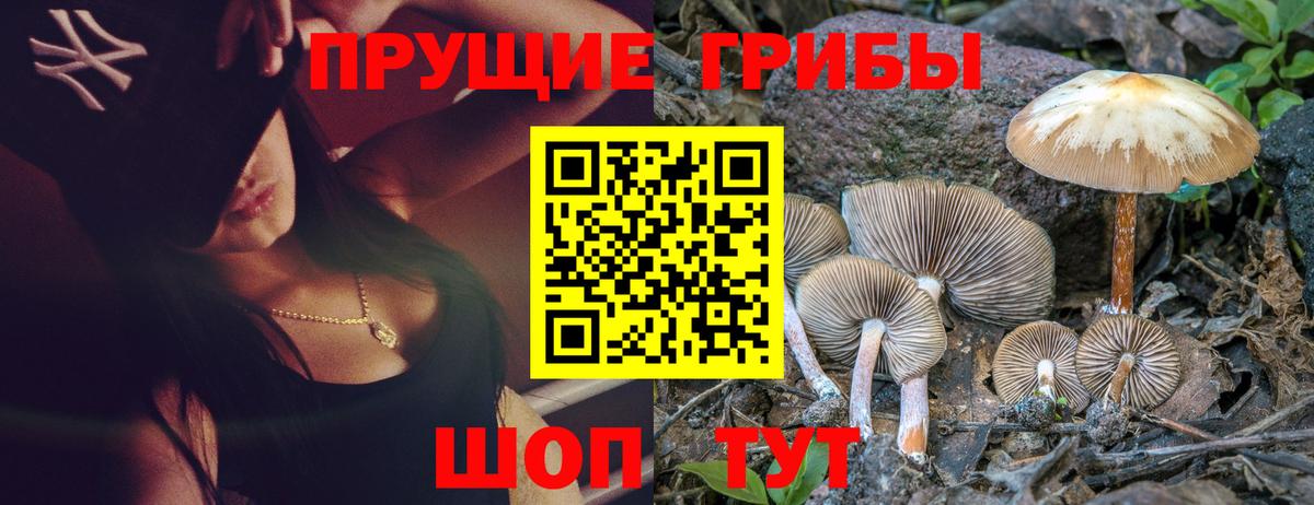 Псилоцибиновые грибы GOLDEN TEACHER  Вход с VPN  Галлюциногенные грибы Cubensis  Серпухов 